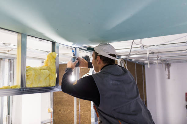 Best Commercial Insulation in Luray, VA