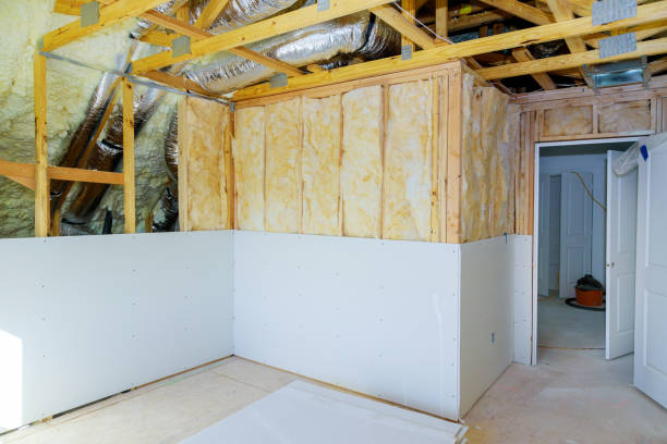 Best Insulation Maintenance and Repair in Luray, VA