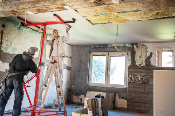 Best Insulation Installation Services in Luray, VA