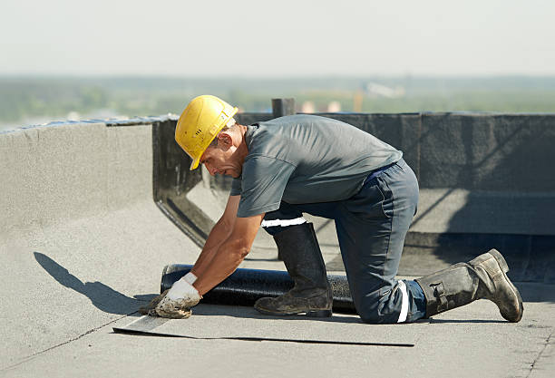 Best Specialty Insulation in Luray, VA