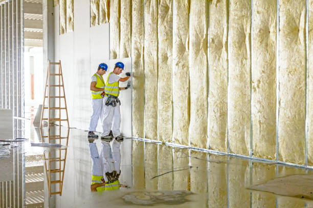 Best Insulation Materials and Products in Luray, VA
